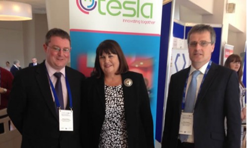 TESLAProject_June2013